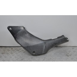 Carena Fianchetto Laterale Centrale Sinistro Honda Hornet 600 dal 1998 al 2000  1649407225259