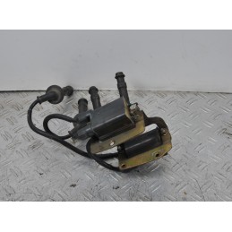 Bobine Accensione Honda Hornet 600 dal 1998 al 2000  1649409714058