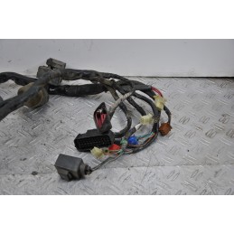 Cablaggio impianto Elettrico Honda Hornet 600 dal 1998 al 2000  1649431279020