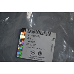 Cablaggio elettrico Opel Cod 39109662  1652950005155