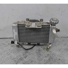 Radiatore + Elettroventola Benelli Caffènero 125 / 150 dal 2011 al 2016  1653637042746