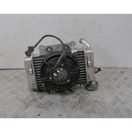 Radiatore + Elettroventola Benelli Caffènero 125 / 150 dal 2011 al 2016  1653637042746