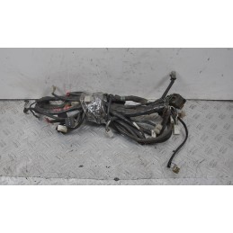 Cablaggio Impianto Elettrico Aprilia Scarabeo 250 dal 2006 al 2012  1654507777089