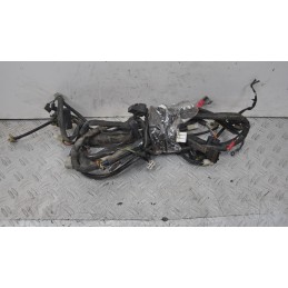 Cablaggio Impianto Elettrico Aprilia Scarabeo 250 dal 2006 al 2012  1654507777089