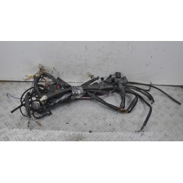 Cablaggio Impianto Elettrico Aprilia Scarabeo 200 Rotax dal 2002 al 2004  1655108731715